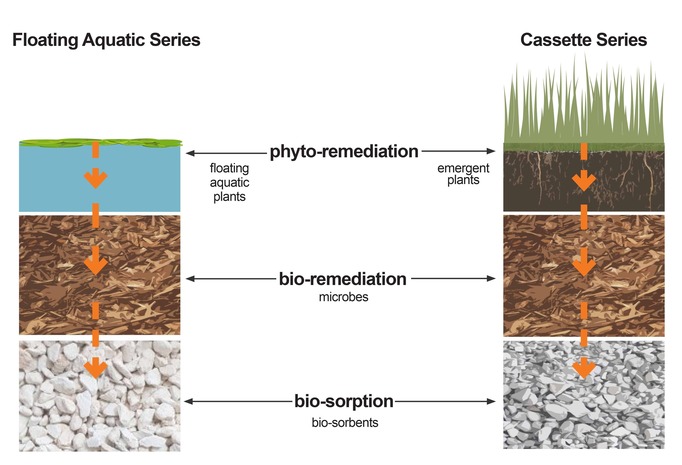 EnPhytoBox® is a nature-based water treatment solution - Created by SYRINX